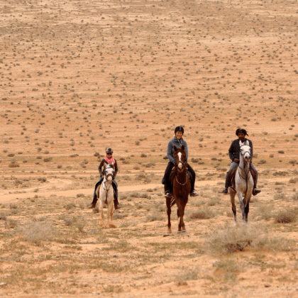 Gespierd Werkgever huurder Leren paardrijden in de Wadi Rum, Jordanië » Jordan Desert Journeys